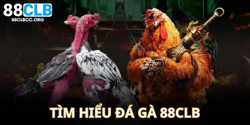 Đá gà 88CLB thu hút người chơi với nhiều tiện ích